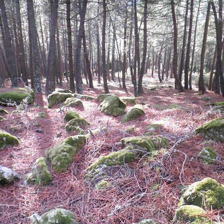 La Chova Villa Piedralaves Eksteriør bilde